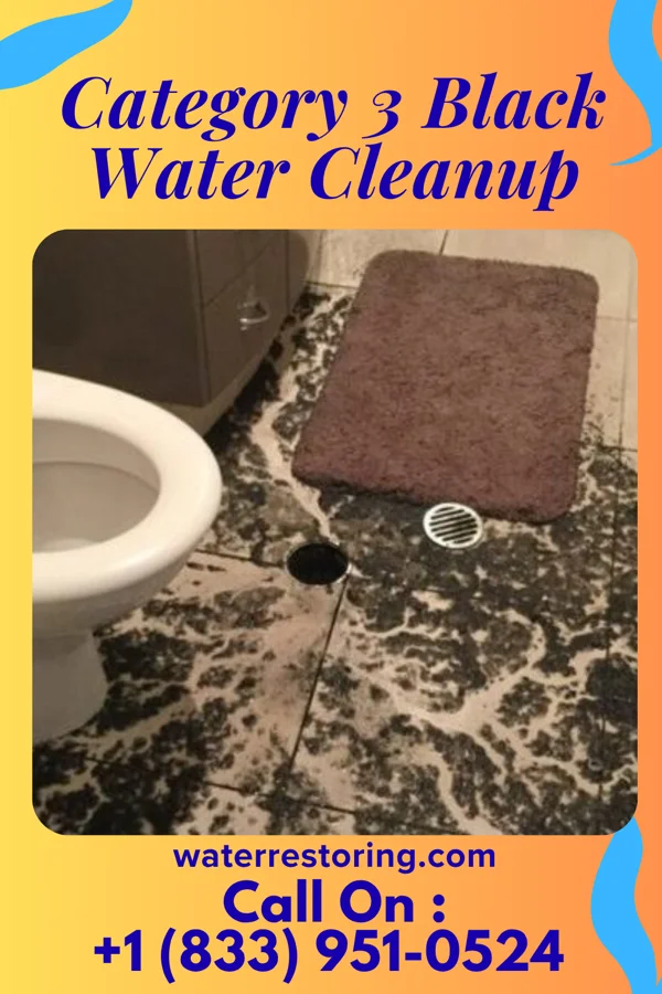 Category 3 Black Water Cleanup in Pueblo of Sandia Village, NM