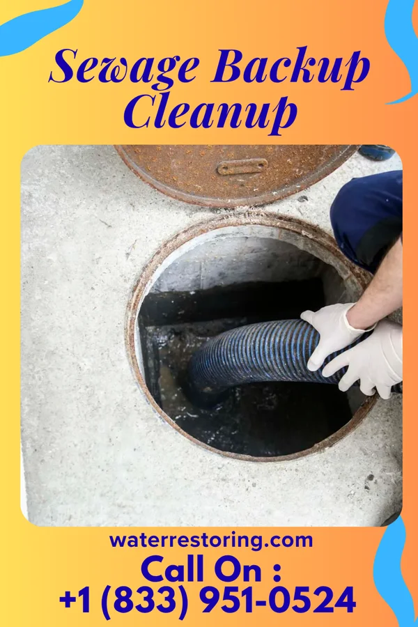 Sewage Backup Cleanup in Pueblo of Sandia Village, NM
